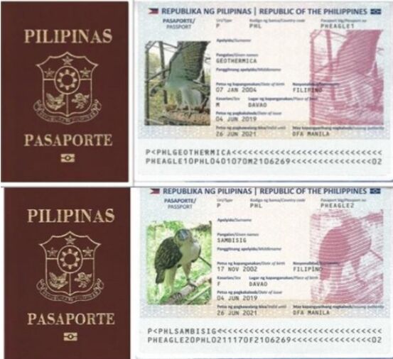 菲律宾补办护照的基本程序是怎样的?