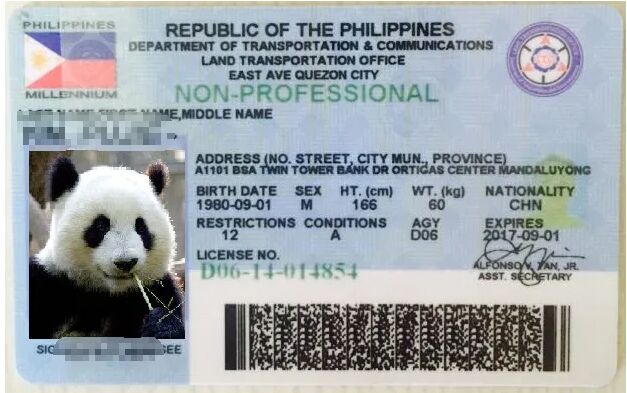 有中国驾照在菲律宾可以开车吗？出国是否有必要办理国际驾照？