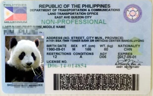 菲律宾有哪些商场里有更换驾照办事处？
