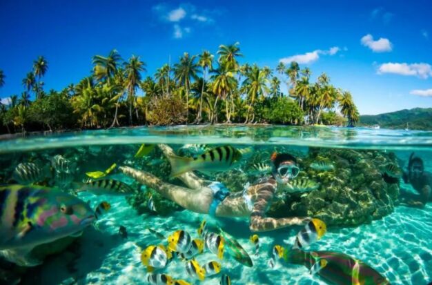 如此平价的瓦努阿图护照和绿卡怎么办理？