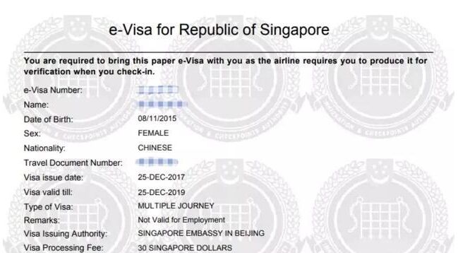 新加坡签证丢失了怎么办？