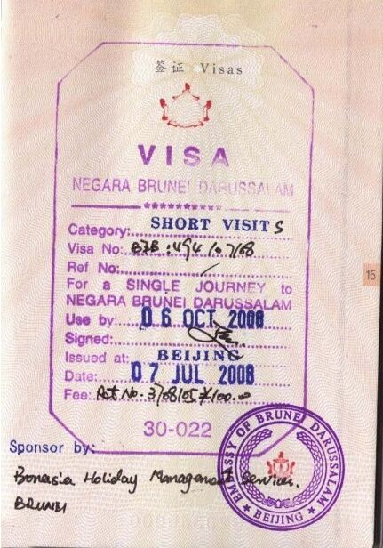 前往文莱，可选择的签证类型有哪些