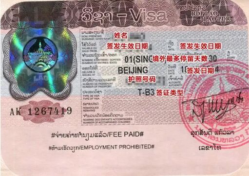 可以办理老挝电子签证吗
