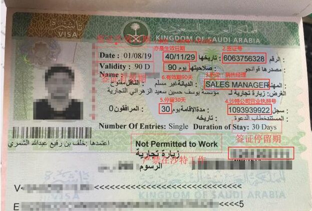 沙特有几种类型签证可以申请