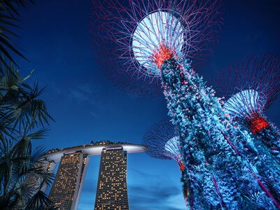 新加坡签证可以自己办理吗？需要什么材料